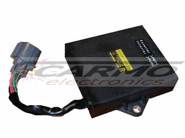 ZZR1100 (21119-1370, 131800-0230)
